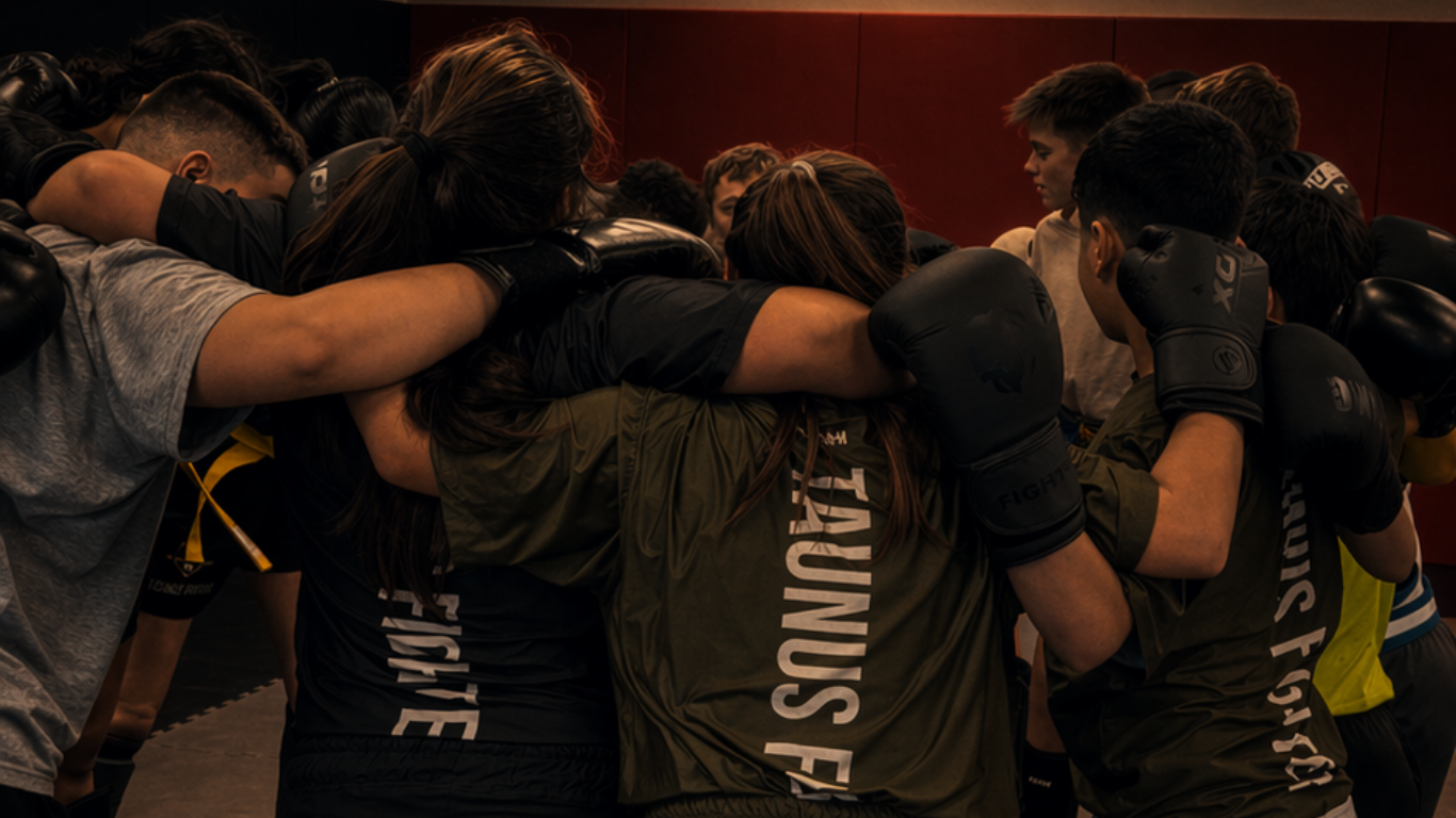 Imagevideo Taunusfighter