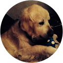 Startseite Profilbild von „Hatchi19008“